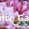 Alamance Gardener APR 2013