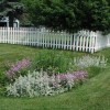 rain garden