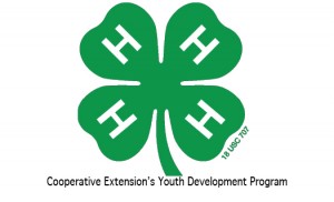 Cover photo for Alamance County 4-H Overnight Camp, Now Accepting Registration!