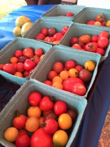 Cover photo for Farmers Market Classes for SNAP Recipients, General Public