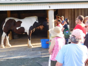 Cover photo for Horse Workshop a Big Hit With Horse Owners
