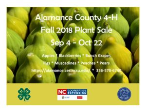 Cover photo for 4-H Plant Sale - Fall 2018