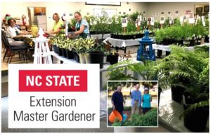 Cover photo for Alamance Gardener October 2018