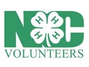 Cover photo for 4-H Aspiring and Current Volunteer Leader Training
