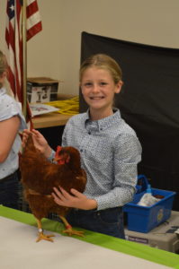 Chicken Show Participant