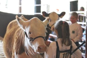 Cover photo for 4-H Livestock Project & Show Interest Meeting