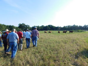 Cover photo for NC AgVentures Grant Application Workshop