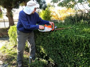 Cover photo for Alamance Gardener November 2019