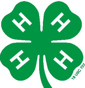 Cover photo for Check Out 4-H Summer Programs!