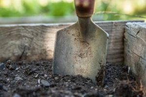Cover photo for Soil Sample Update From the State Soil Lab