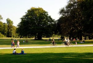 People at a park