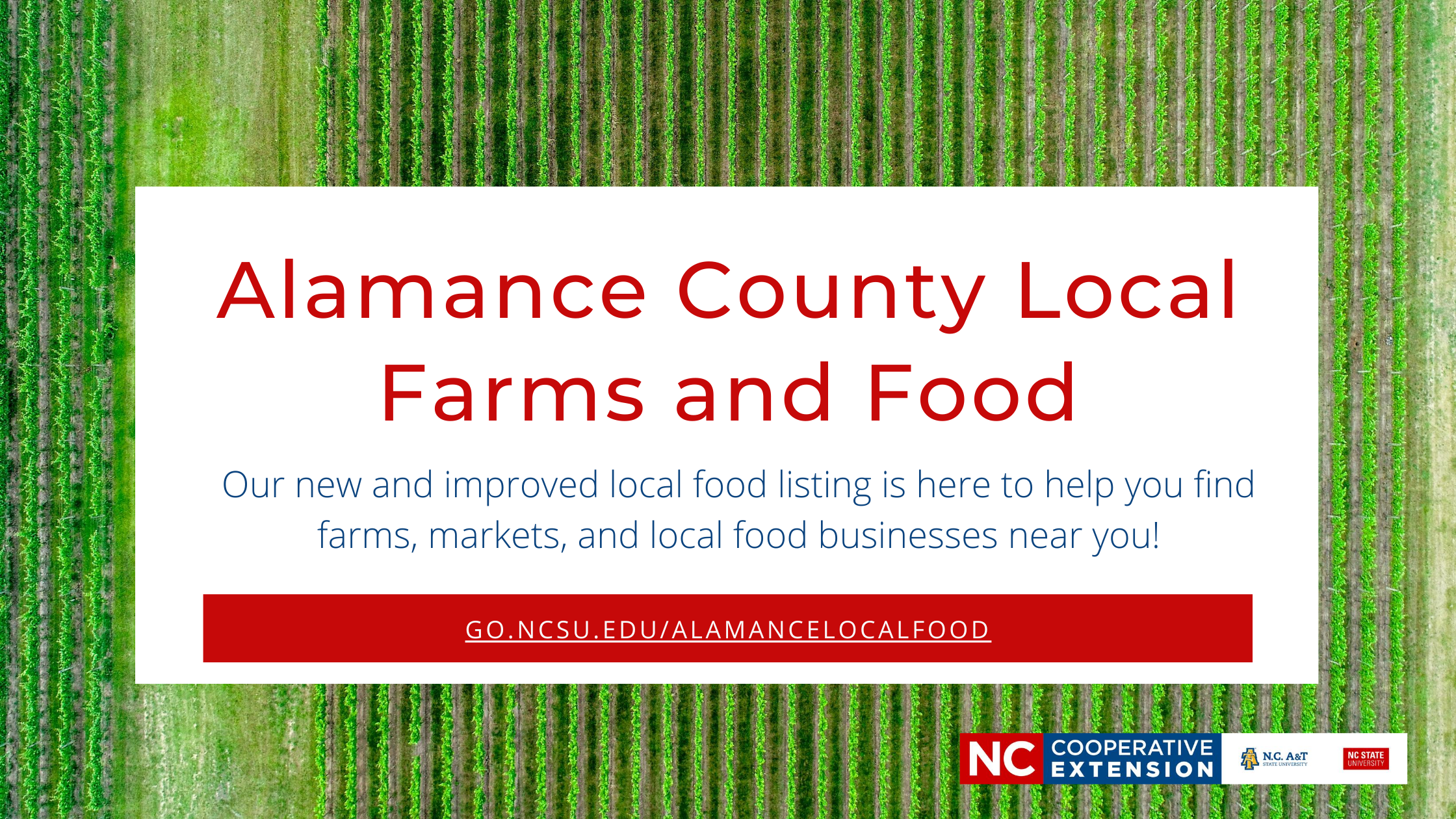 Red text on white background saying Alamance County Local Farms and Food with link to local food listing