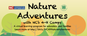 Cover photo for Nature Adventures This Fall!