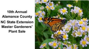 Cover photo for 10th Annual Master Gardener Volunteer Fall Plant Sale