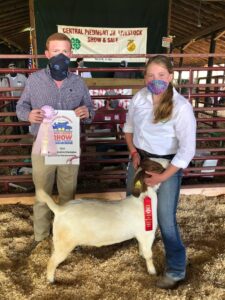 Girl Showing Goat