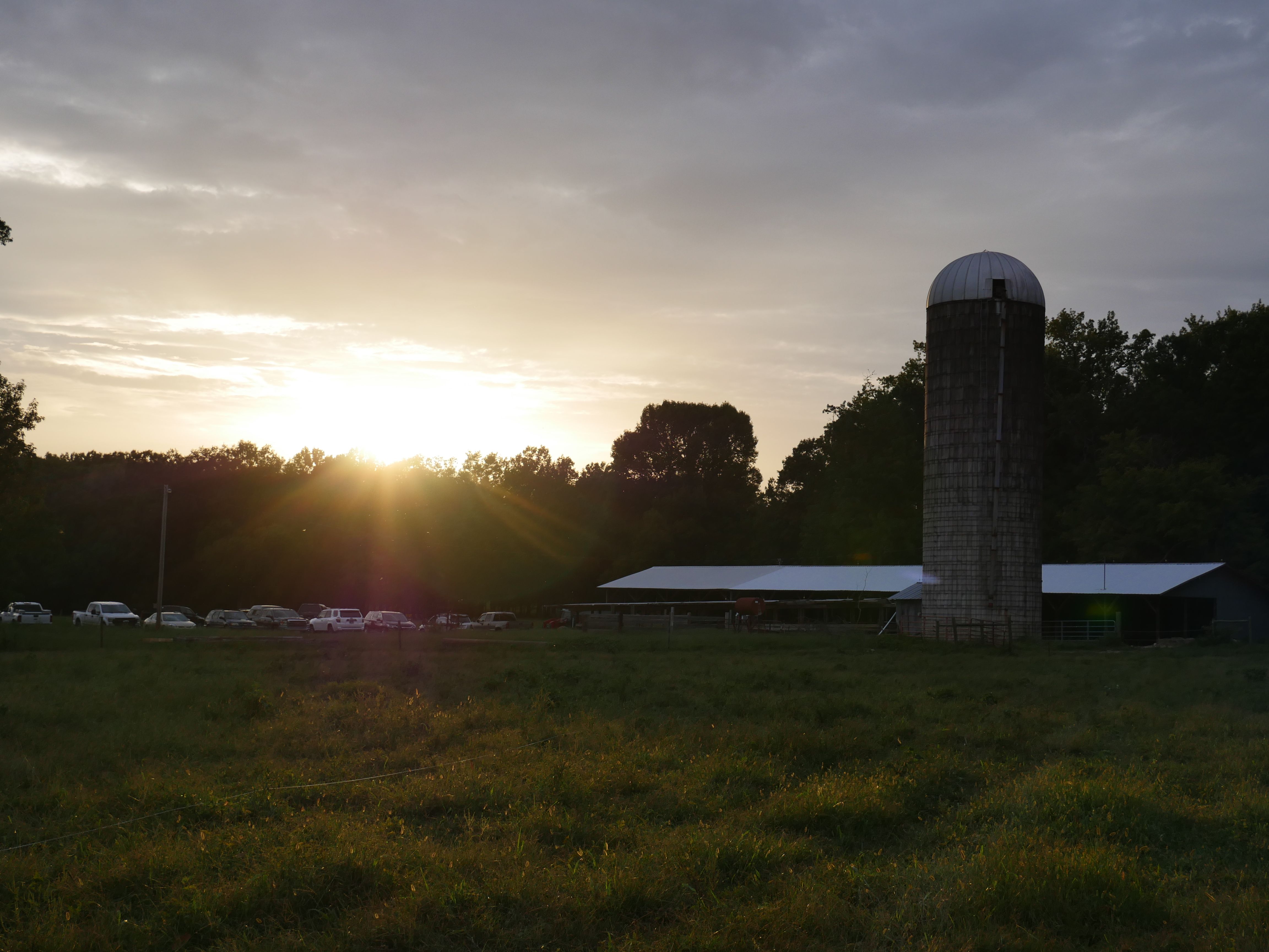 sunset on farm