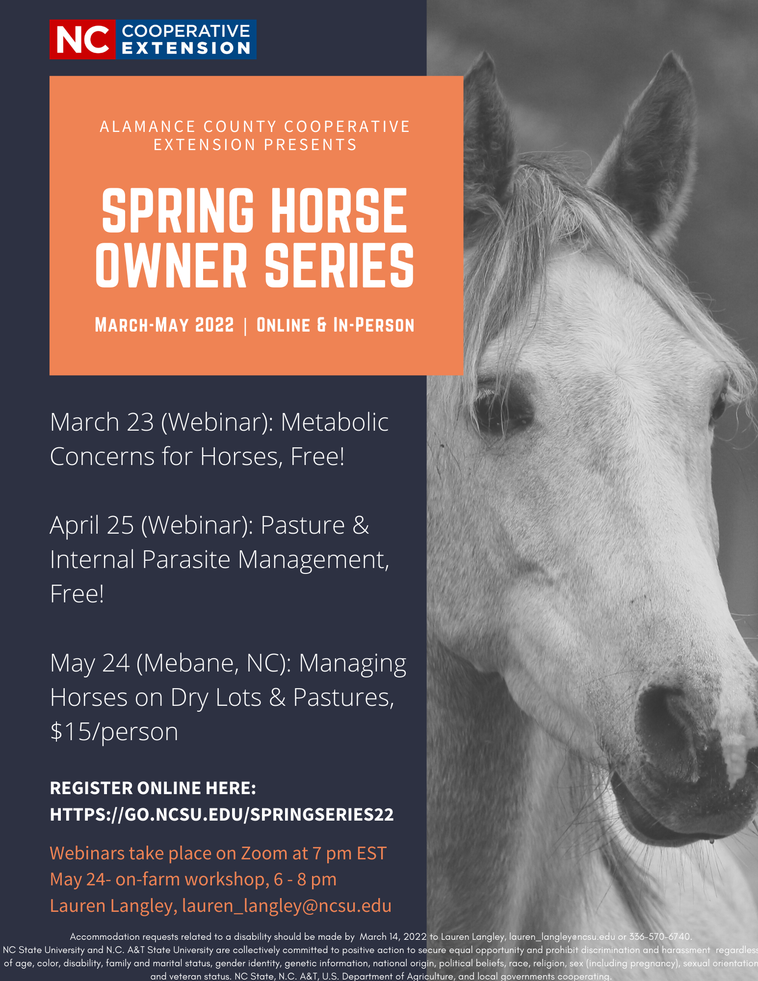 Spring Horse Series
