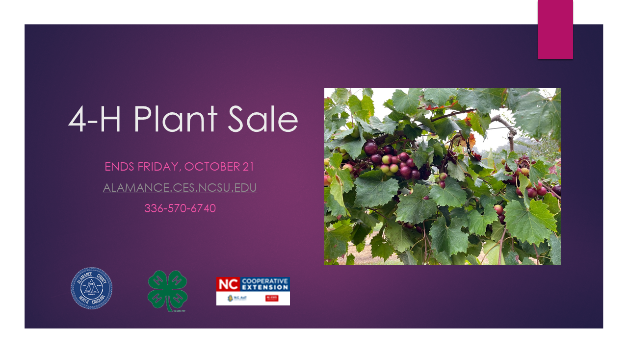 4-H Plant Sale. Ends Friday, October 21.