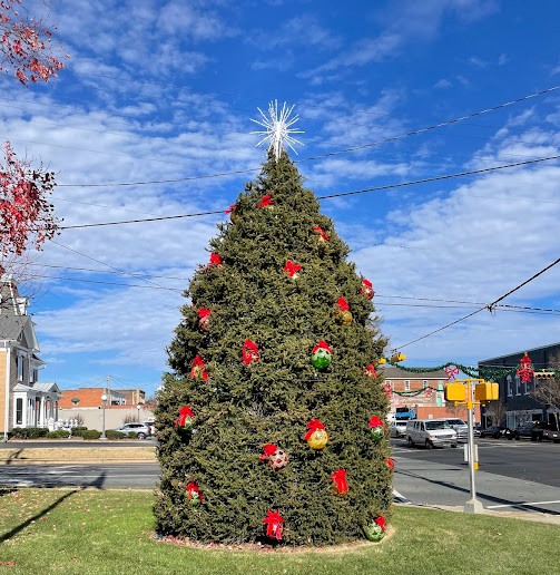 December 2022 Alamance Gardener N.C. Cooperative Extension