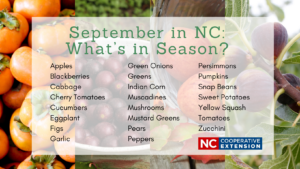 Cover photo for September in NC: What's in Season?