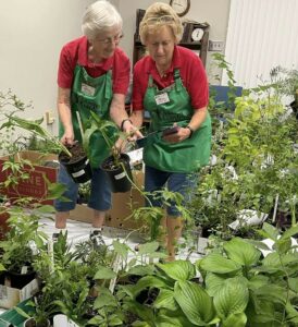 Cover photo for Alamance County Extension Master Gardener℠ 14th Annual Plant Sale