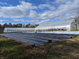 Cover photo for See Conservation Practices in Action on the Piedmont Farm Tour